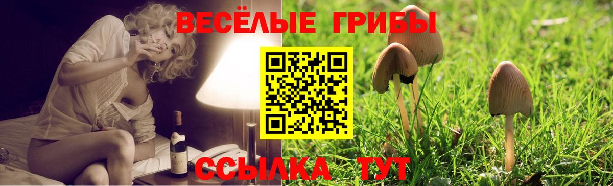 Ишим  Галлюциногенные грибы прущие грибы  Вход с VPN 